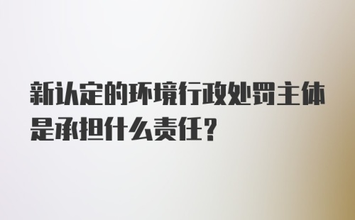 新认定的环境行政处罚主体是承担什么责任？