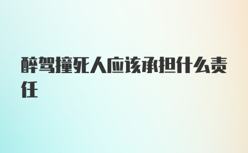 醉驾撞死人应该承担什么责任