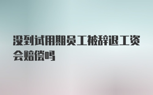 没到试用期员工被辞退工资会赔偿吗