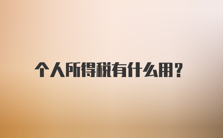 个人所得税有什么用？