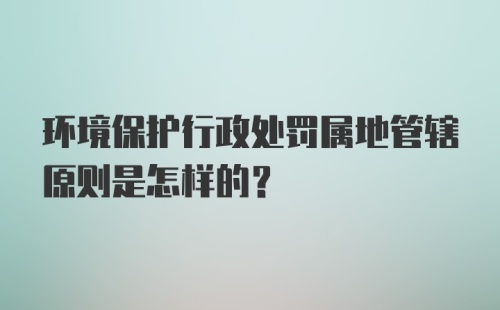 环境保护行政处罚属地管辖原则是怎样的？