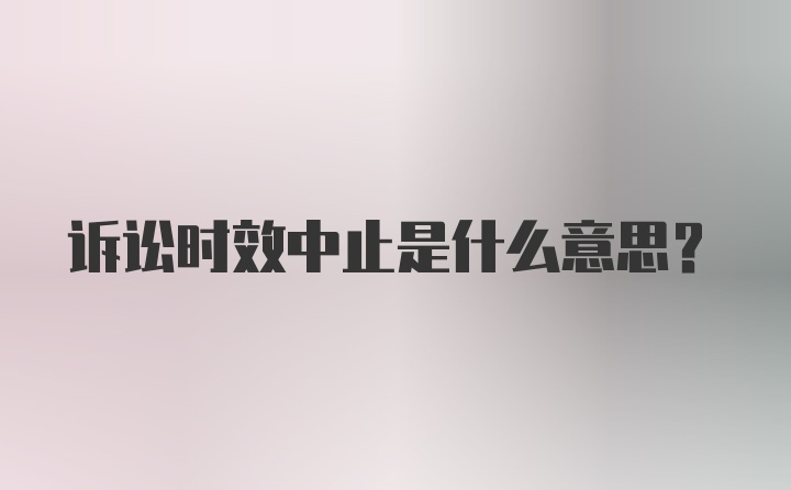 诉讼时效中止是什么意思？