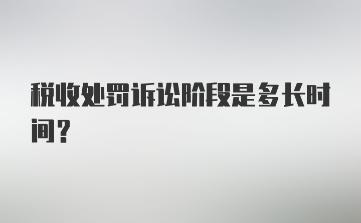 税收处罚诉讼阶段是多长时间？