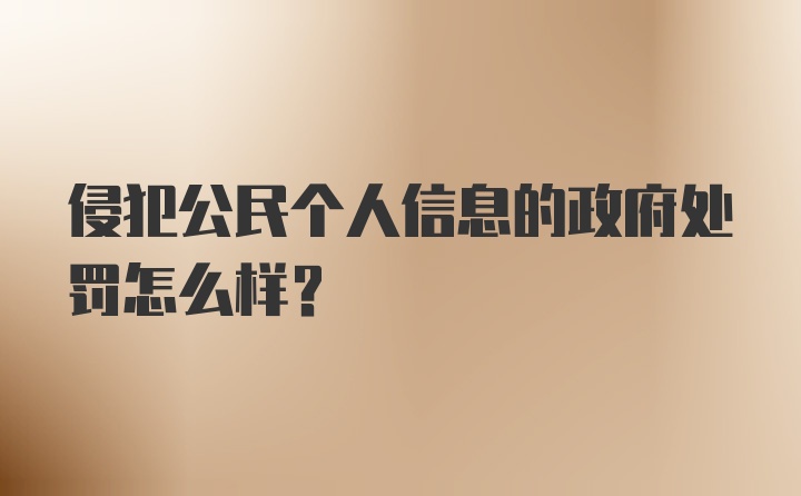 侵犯公民个人信息的政府处罚怎么样？