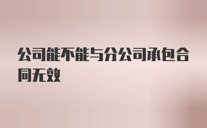 公司能不能与分公司承包合同无效