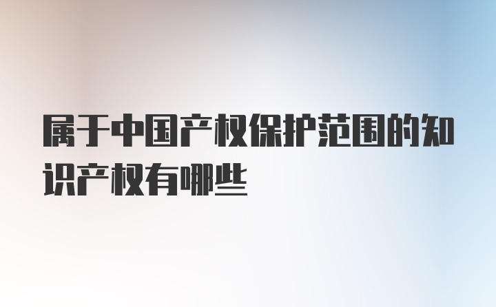 属于中国产权保护范围的知识产权有哪些