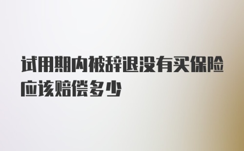 试用期内被辞退没有买保险应该赔偿多少