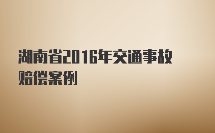 湖南省2016年交通事故赔偿案例