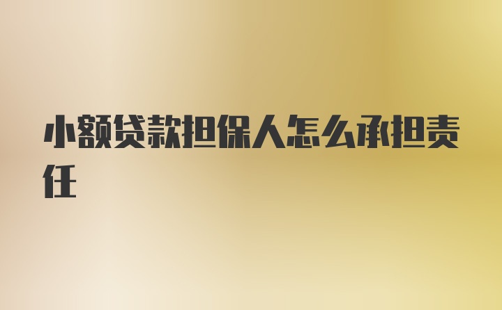 小额贷款担保人怎么承担责任