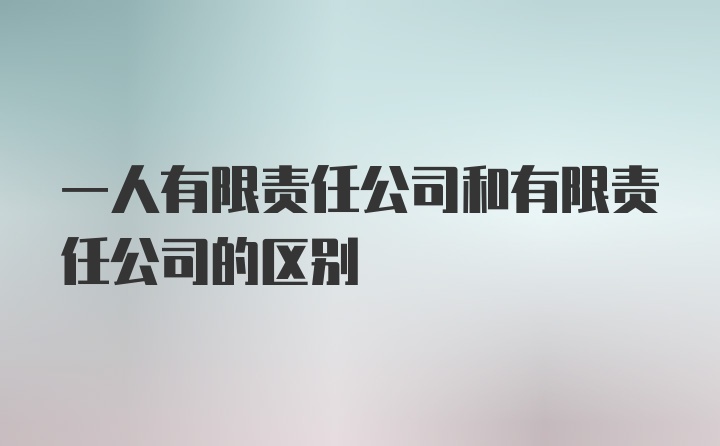 一人有限责任公司和有限责任公司的区别