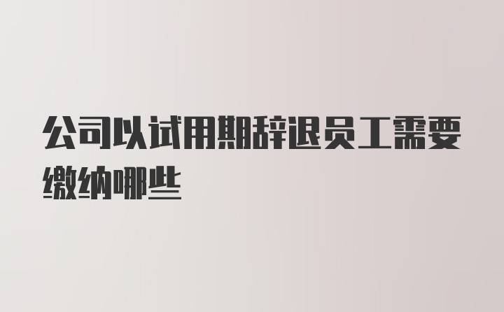 公司以试用期辞退员工需要缴纳哪些