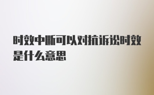 时效中断可以对抗诉讼时效是什么意思