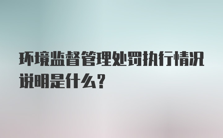 环境监督管理处罚执行情况说明是什么？