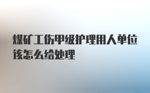 煤矿工伤甲级护理用人单位该怎么给处理