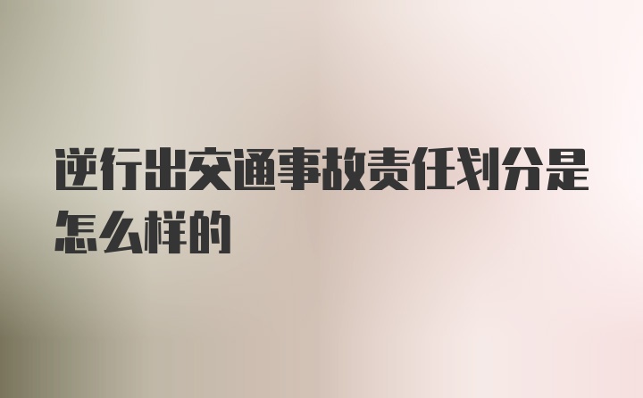 逆行出交通事故责任划分是怎么样的