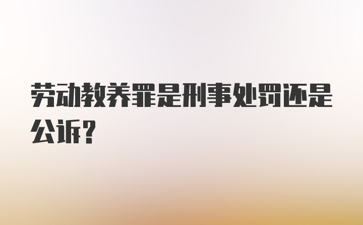 劳动教养罪是刑事处罚还是公诉？