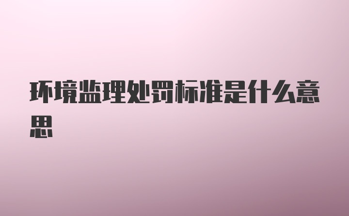 环境监理处罚标准是什么意思