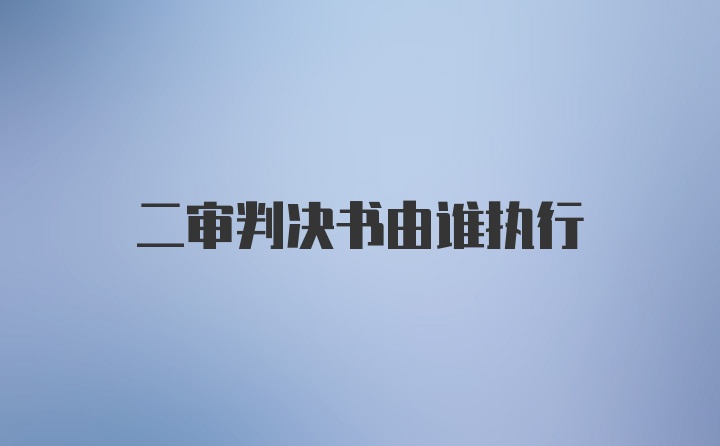 二审判决书由谁执行