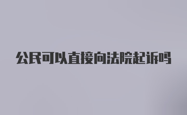 公民可以直接向法院起诉吗