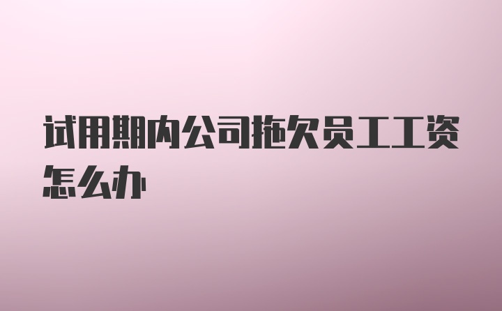 试用期内公司拖欠员工工资怎么办