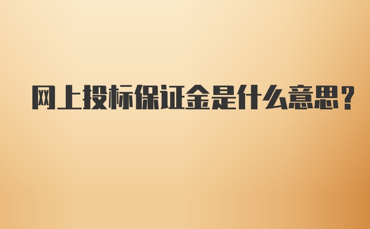 网上投标保证金是什么意思？