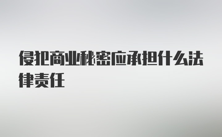 侵犯商业秘密应承担什么法律责任