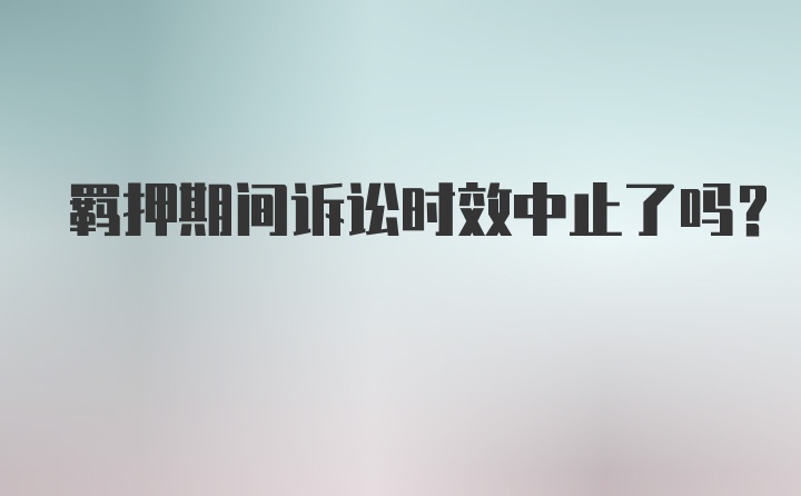 羁押期间诉讼时效中止了吗？