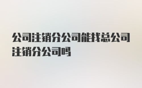 公司注销分公司能找总公司注销分公司吗