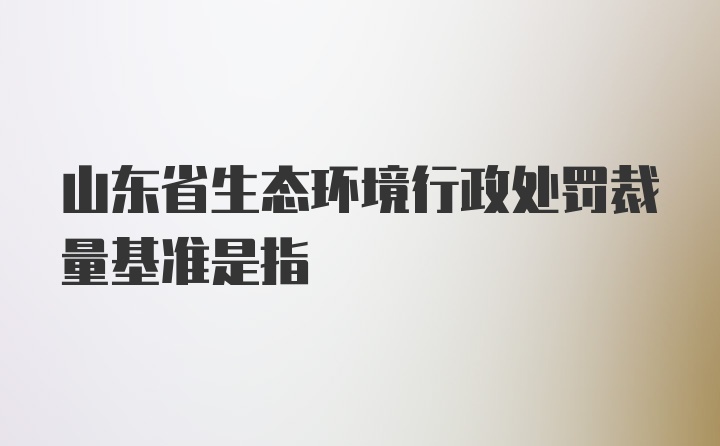 山东省生态环境行政处罚裁量基准是指