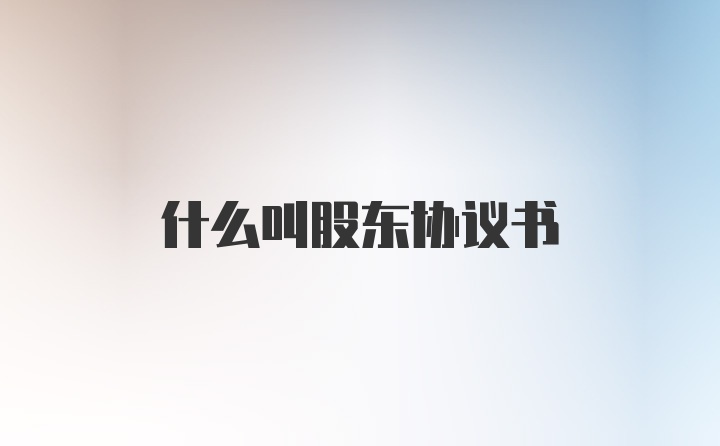 什么叫股东协议书