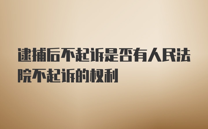 逮捕后不起诉是否有人民法院不起诉的权利