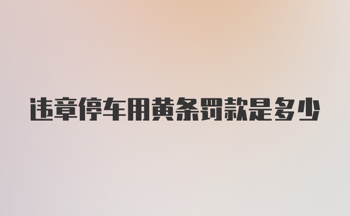 违章停车用黄条罚款是多少