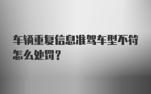 车辆重复信息准驾车型不符怎么处罚？