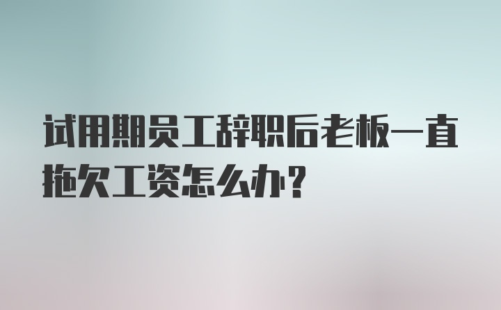 试用期员工辞职后老板一直拖欠工资怎么办？