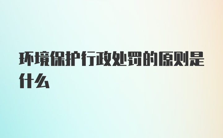 环境保护行政处罚的原则是什么