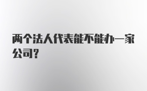 两个法人代表能不能办一家公司？