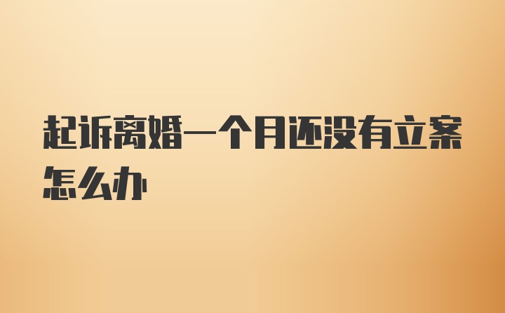 起诉离婚一个月还没有立案怎么办