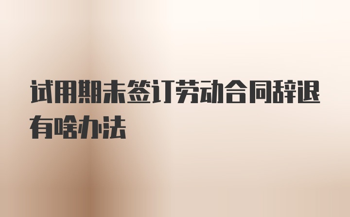 试用期未签订劳动合同辞退有啥办法