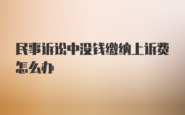 民事诉讼中没钱缴纳上诉费怎么办