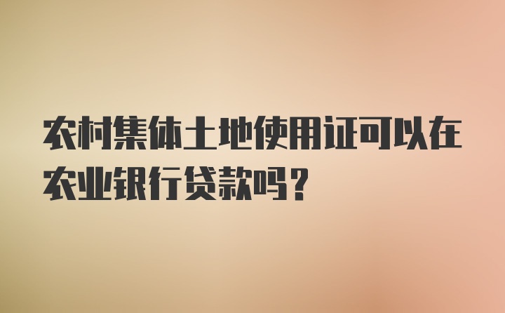 农村集体土地使用证可以在农业银行贷款吗？