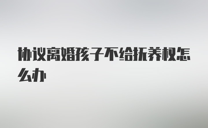 协议离婚孩子不给抚养权怎么办