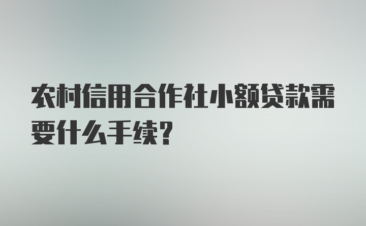 农村信用合作社小额贷款需要什么手续？