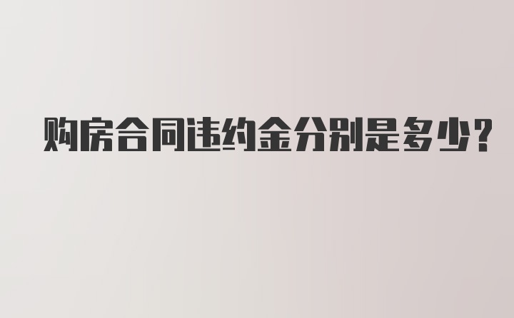 购房合同违约金分别是多少？