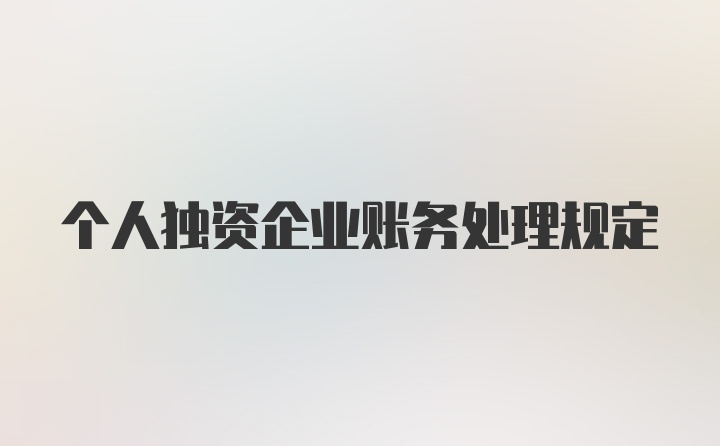 个人独资企业账务处理规定