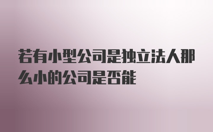 若有小型公司是独立法人那么小的公司是否能