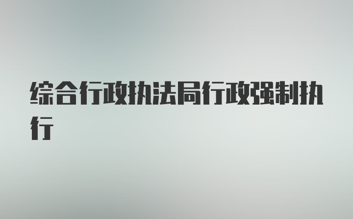 综合行政执法局行政强制执行