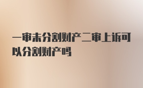 一审未分割财产二审上诉可以分割财产吗