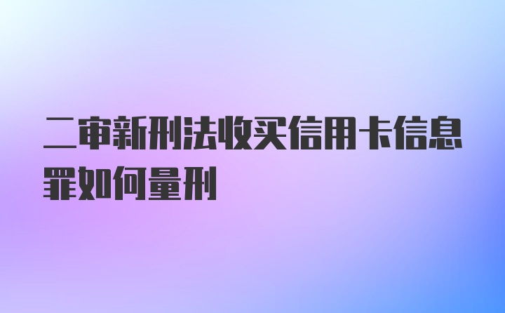 二审新刑法收买信用卡信息罪如何量刑