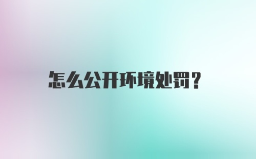 怎么公开环境处罚？