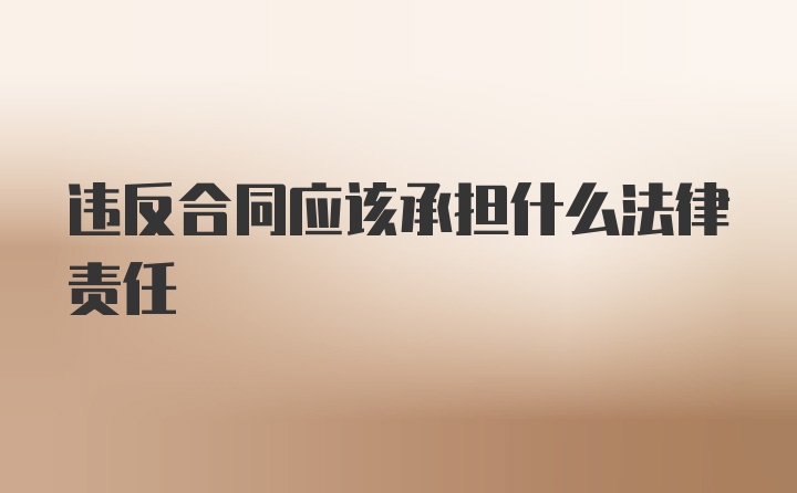 违反合同应该承担什么法律责任